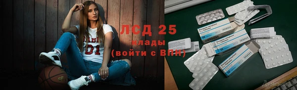 ПСИЛОЦИБИНОВЫЕ ГРИБЫ Алзамай