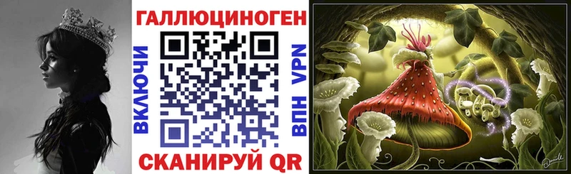 Псилоцибиновые грибы прущие грибы  hydra tor  Норильск 