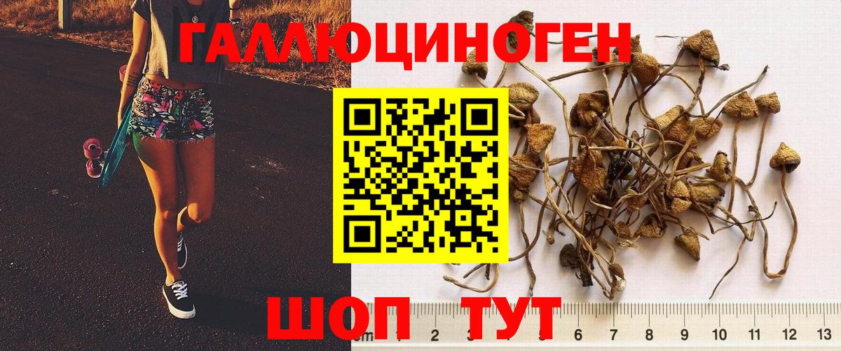 Галлюциногенные грибы мухоморы  Вход с VPN  Норильск 